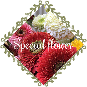 Special Flower