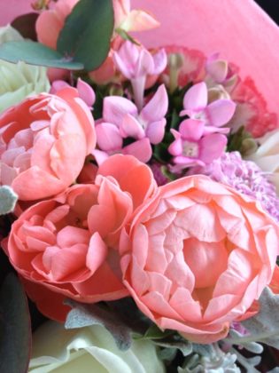 %e5%8f%af%e6%84%9b%e3%81%841